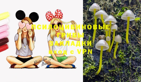 гашиш Болотное