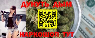 стаф Новодвинск