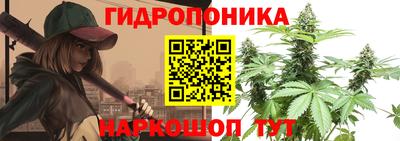 стаф Новодвинск