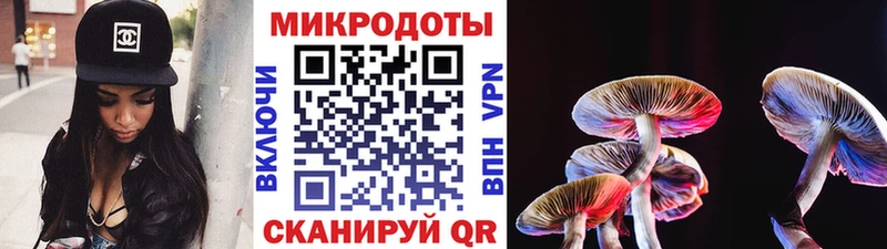 darknet наркотические препараты  Янаул  ОМГ ОМГ рабочий сайт  Галлюциногенные грибы GOLDEN TEACHER  где купить  