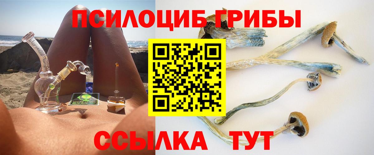 Псилоцибиновые грибы Cubensis  Псилоцибиновые грибы прущие грибы  Вход с VPN  Янаул 
